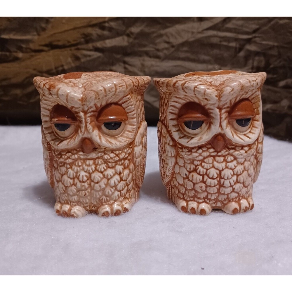 Vintage 1980 Large Sleepy Hollow Owl Ceramic Salt & Pepper Shaker Set USED